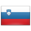 SI vlag